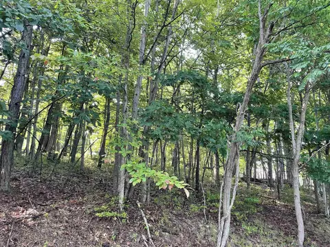 Chinquapin Dr, Lyndhurst, VA 22952