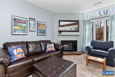 464 Three Ridges Condos, Roseland, VA 22967 photo 7