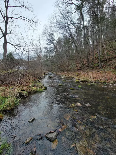 9755 Big Valley Rd, Warm Springs, VA 24484