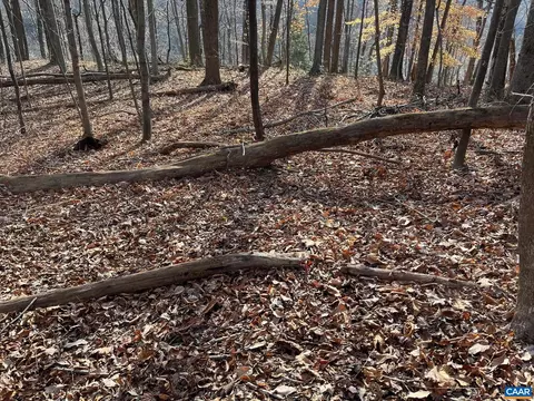 Monacan Trail Rd, Covesville, VA 22931