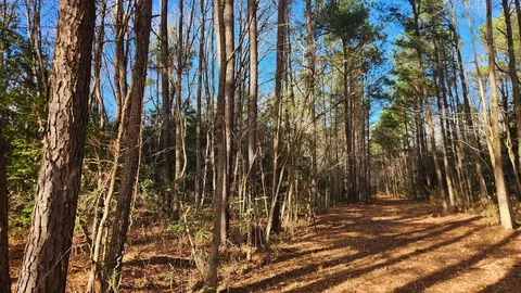66 Church St, Windsor, VA 23487