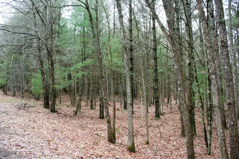 tbd Lowry Rd, Monterey, VA 24465