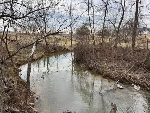 View/Area - Undisclosed, Stuarts Draft, VA 24477 photo 1 of 2