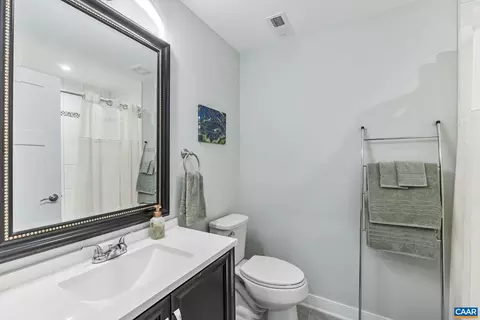 100 Pine Shadow Ct, Troy, VA 22974 photo 39