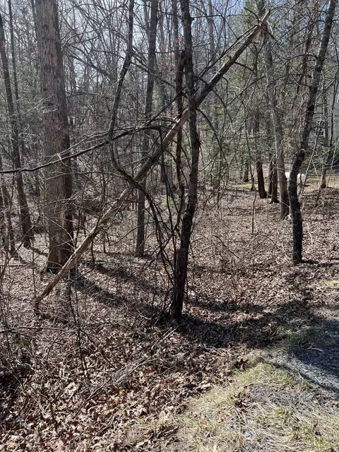 0 Bitternut Ln #554, Mount Jackson, VA 22842 photo 2
