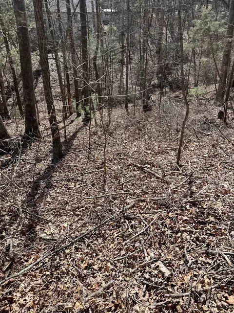 0 Bitternut Ln #554, Mount Jackson, VA 22842 photo 6