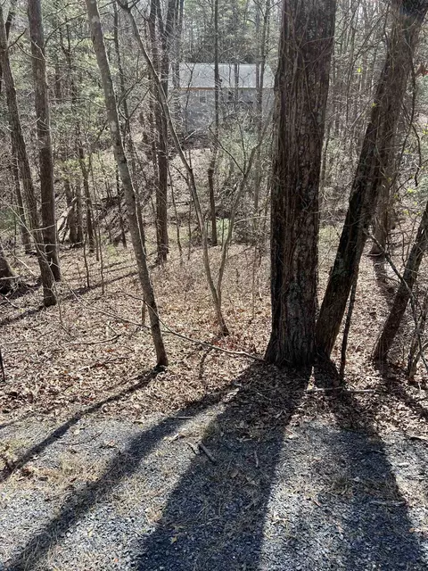 0 Bitternut Ln #554, Mount Jackson, VA 22842 photo 8