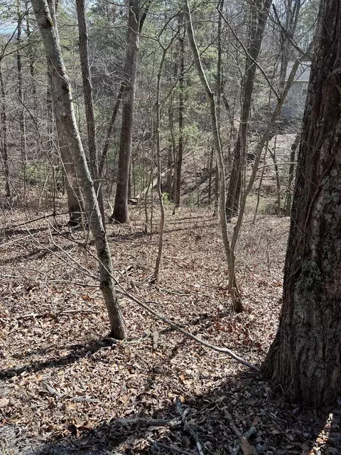 0 Bitternut Ln, Mount Jackson, VA 22842 photo 5