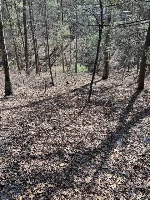 0 Bitternut Ln, Mount Jackson, VA 22842 photo 3