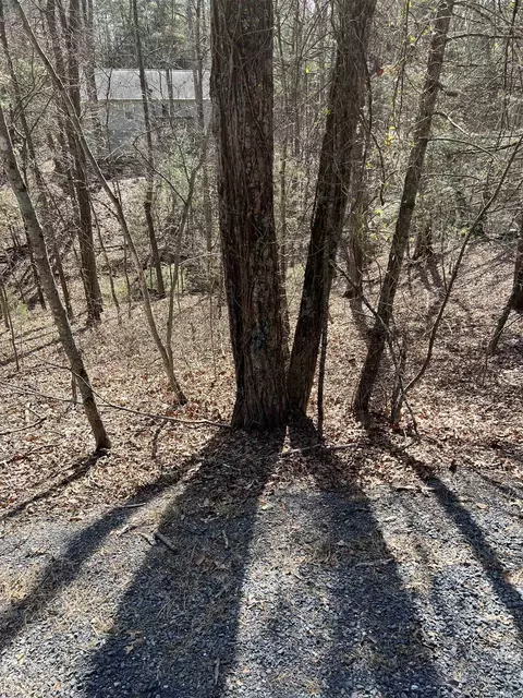 0 Bitternut Ln, Mount Jackson, VA 22842 photo 7
