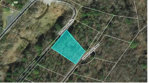 0 Chestnut Ridge Rd #445, Mount Jackson, VA 22842