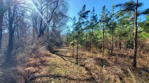 213 Ac Level Run Rd, Long Island, VA 24569