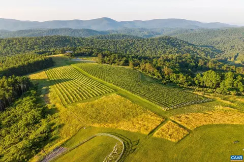 View/Area - 24981 Blue Ridge Pkwy, Vesuvius, VA 24483 photo 3 of 9