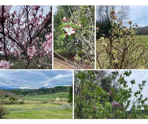 11 Dream St, Millboro, VA 24460