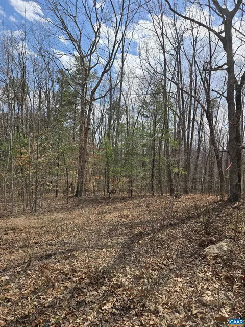 lot41 B Ed Jones Rd, Scottsville, VA 24590