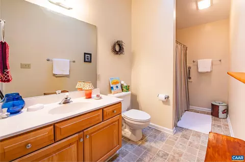 5 Chatham Ln, Palmyra, VA 22963 photo 38