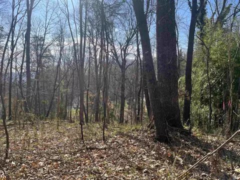 877 Flower Dr, Mcgaheysville, VA 22840