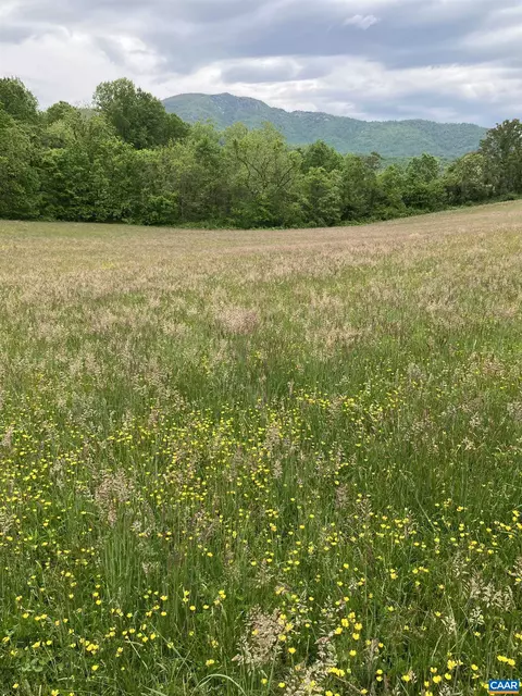3716 Etlan Rd, Etlan, VA 22719 photo 26