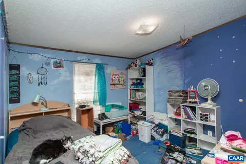 3147 Ridge Rd, Palmyra, VA 22963 photo 15