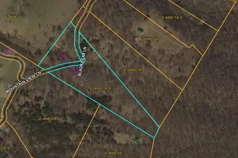 0 Black Bear Ln, Mathias, WV 26812
