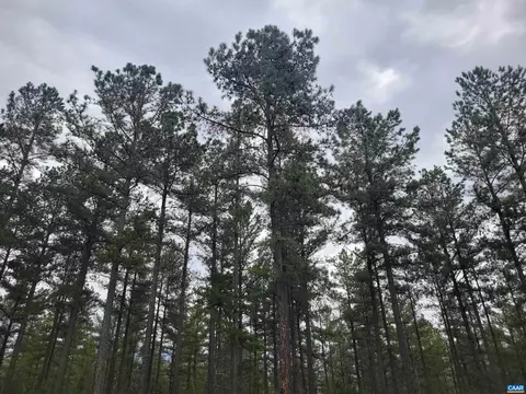 5 Piney Mountain Dr, Palmyra, VA 22963
