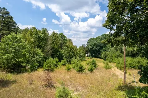 483 Spring Rd, Bremo Bluff, VA 23022 photo 11