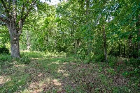 483 Spring Rd, Bremo Bluff, VA 23022 photo 13