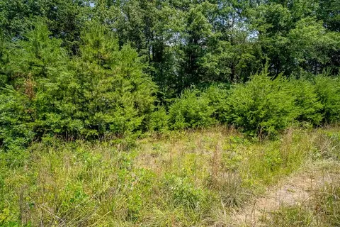 483 Spring Rd, Bremo Bluff, VA 23022 photo 17