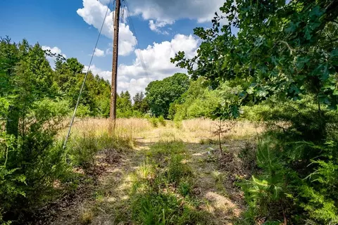 483 Spring Rd, Bremo Bluff, VA 23022 photo 9