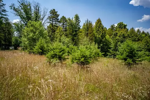 483 Spring Rd, Bremo Bluff, VA 23022 photo 16