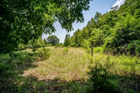 483 Spring Rd, Bremo Bluff, VA 23022 photo 18