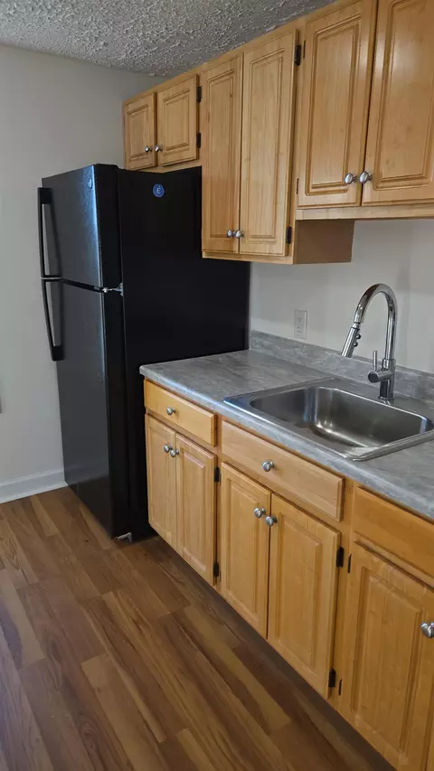 Kitchen - 307 2nd St, Shenandoah, VA 22849 photo 7 of 8