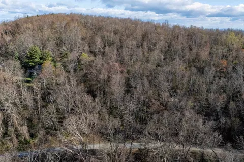 0 Cherry Tree Ln, Stanley, VA 22851 photo 3
