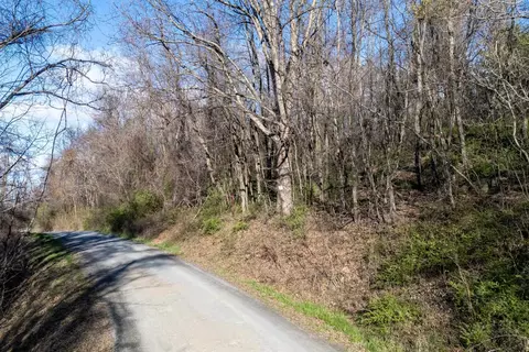 0 Cherry Tree Ln, Stanley, VA 22851 photo 38