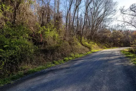 0 Cherry Tree Ln, Stanley, VA 22851 photo 29