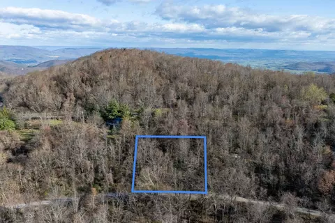 0 Cherry Tree Ln, Stanley, VA 22851 photo 22