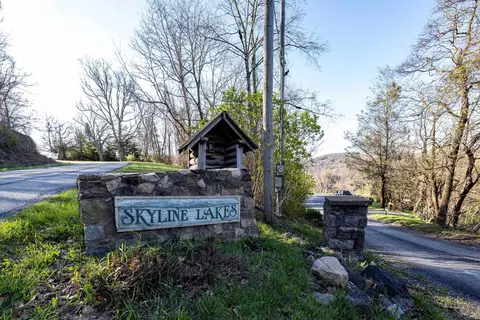 0 Cherry Tree Ln, Stanley, VA 22851 photo 42