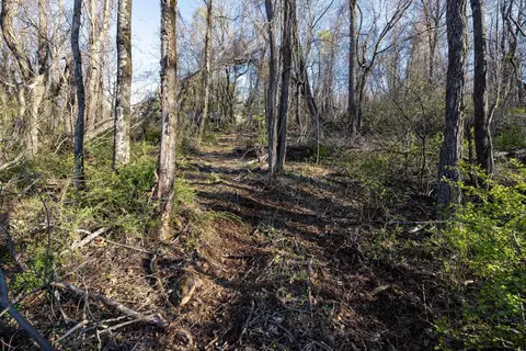 0 Cherry Tree Ln, Stanley, VA 22851 photo 33