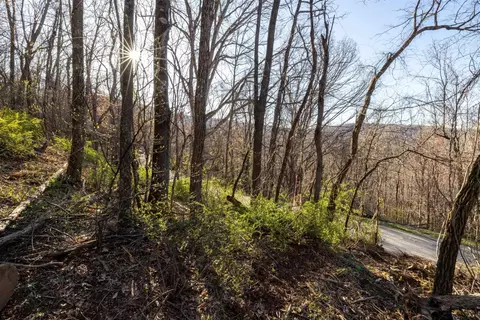0 Cherry Tree Ln, Stanley, VA 22851 photo 34