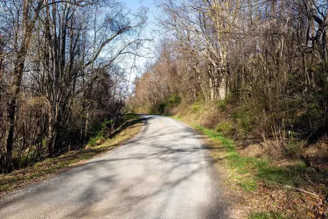 0 Cherry Tree Ln, Stanley, VA 22851 photo 39