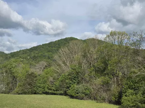 tbd Natural Brg, Station, VA 24579