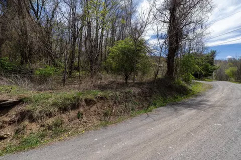 0 Short Cut Rd, Stanley, VA 22851 photo 45