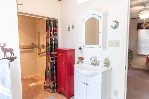 Bath - 137 Mccurdy Ln, Rockbridge Baths, VA 24473 photo 6 of 10