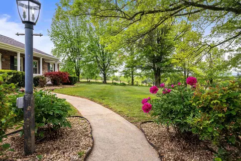 816 Todd Rd, Mount Sidney, VA 24467 photo 6