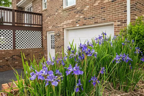 816 Todd Rd, Mount Sidney, VA 24467 photo 44