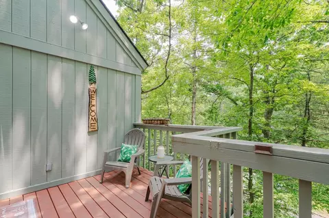 334 Spitz Ln # 85B, Basye, VA 22810 photo 34