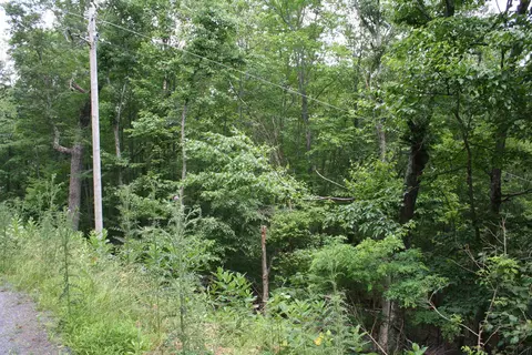 41 S High Valley Dr S, Monterey, VA 24465