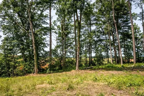 0 Piney Woods Rd, Timberville, VA 22853
