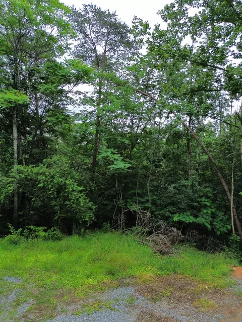 lot9 Lookout Dr, Shenandoah, VA 22849