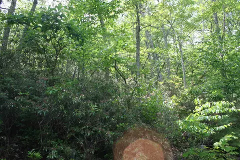 42 High Vly S, Monterey, VA 24465